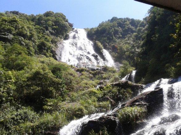 了解高质量知识星球平台红枣加枸杞洗了直接拿来泡开水喝可以吗的最佳选择